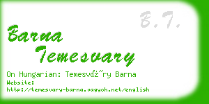 barna temesvary business card
